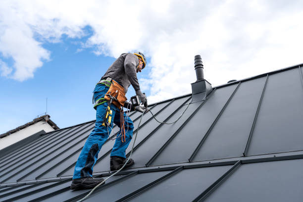 Best Flat Roofing  in Beatrice, NE